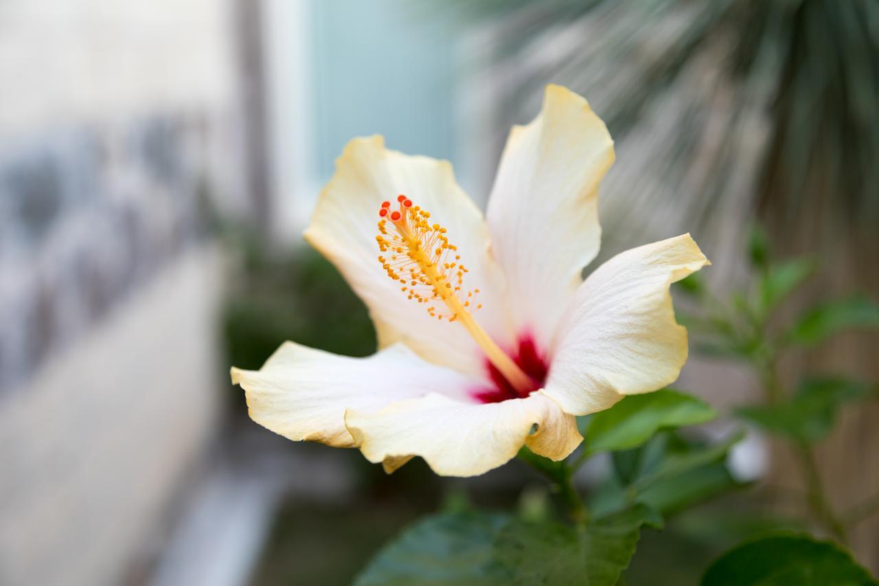 Hotel Maison 트레스누라게스 외부 사진